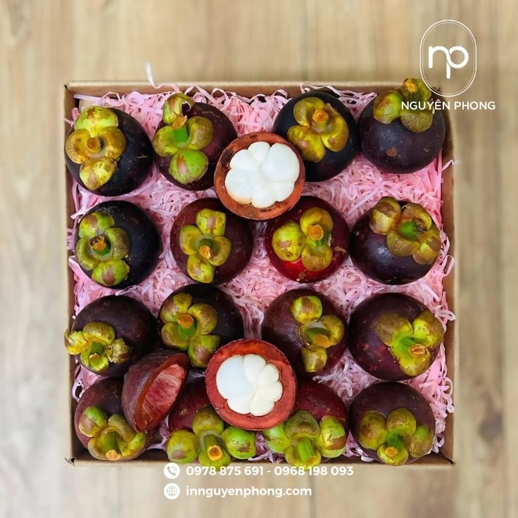 Mẫu thùng carton đựng măng cụt lót giấy